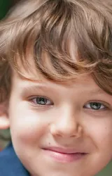 Хэнк Гринспен