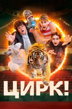 Цирк!
